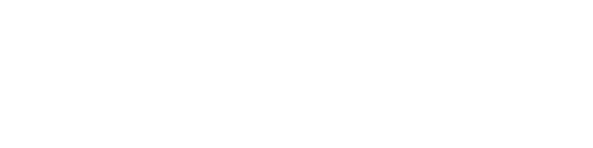 naturalyze logo